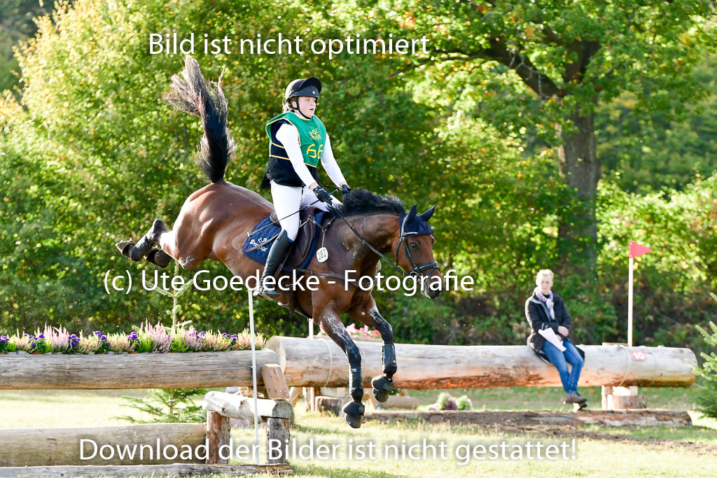 Bad Segeberg 09.10.2022 | 09102022 - XC CCI++ _580