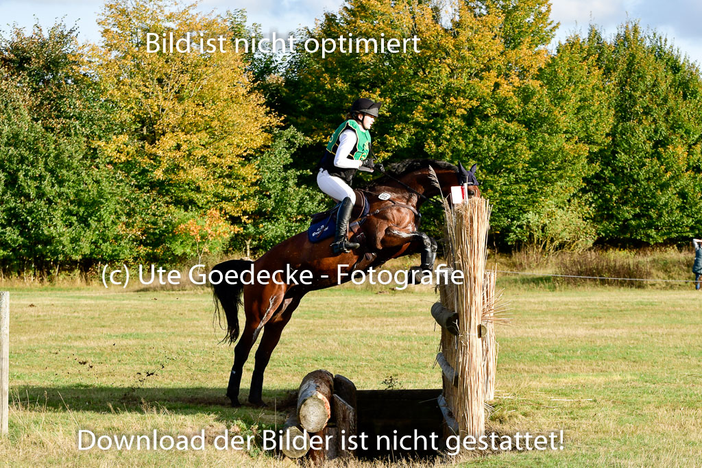 Bad Segeberg 09.10.2022 | 09102022 - XC CCI++ _583
