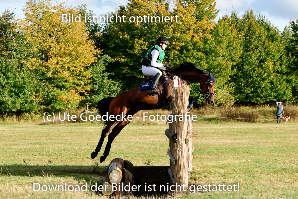Bad Segeberg 09.10.2022 | 09102022 - XC CCI++ _584