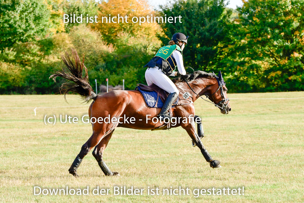 Bad Segeberg 09.10.2022 | 09102022 - XC CCI++ _585