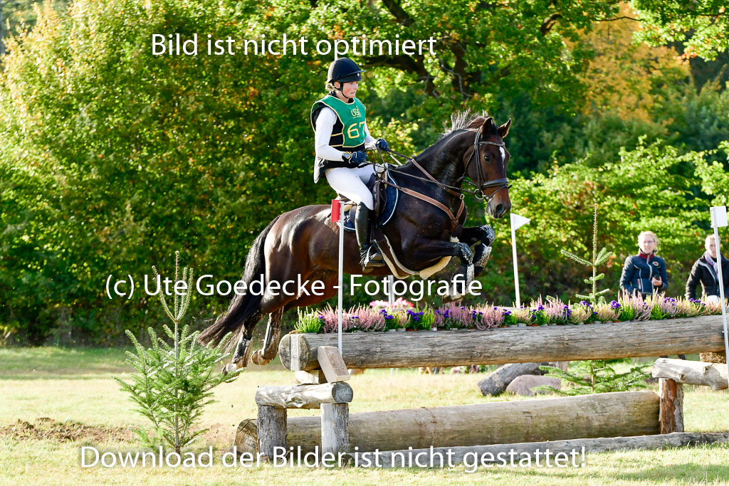 Bad Segeberg 09.10.2022 | 09102022 - XC CCI++ _586