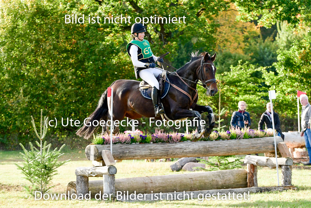Bad Segeberg 09.10.2022 | 09102022 - XC CCI++ _587