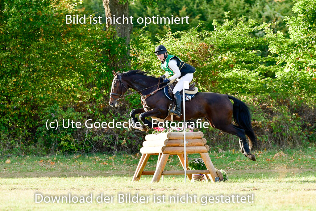 Bad Segeberg 09.10.2022 | 09102022 - XC CCI++ _591