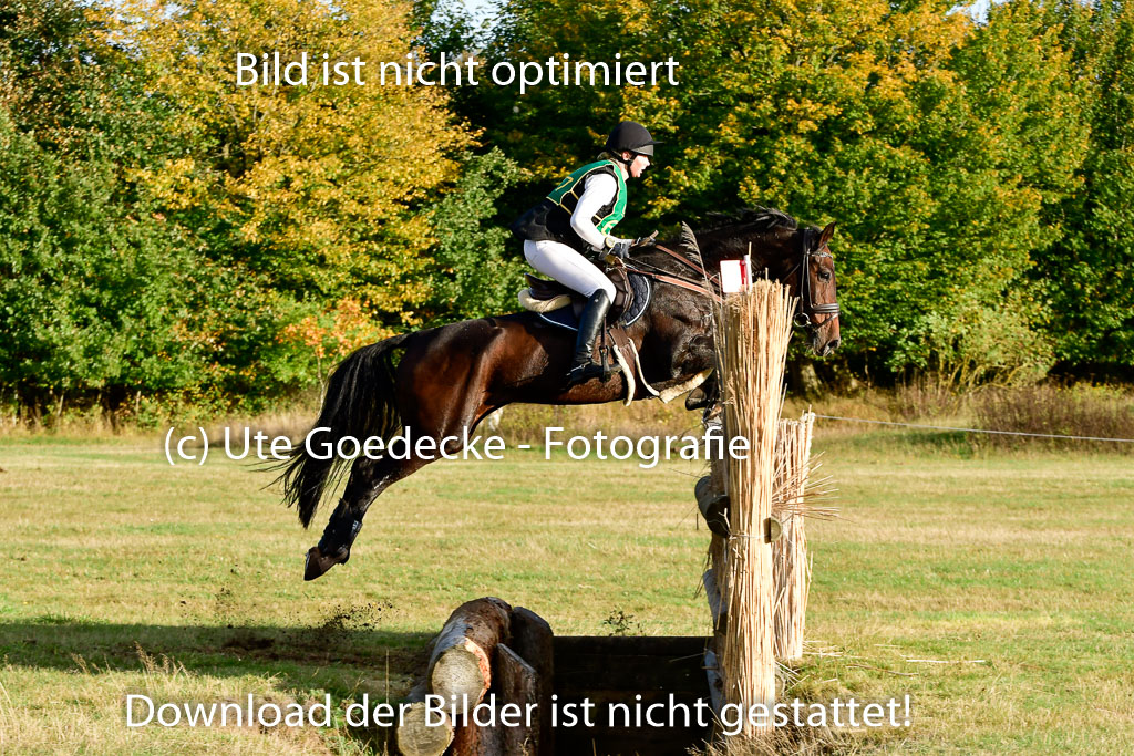 Bad Segeberg 09.10.2022 | 09102022 - XC CCI++ _596