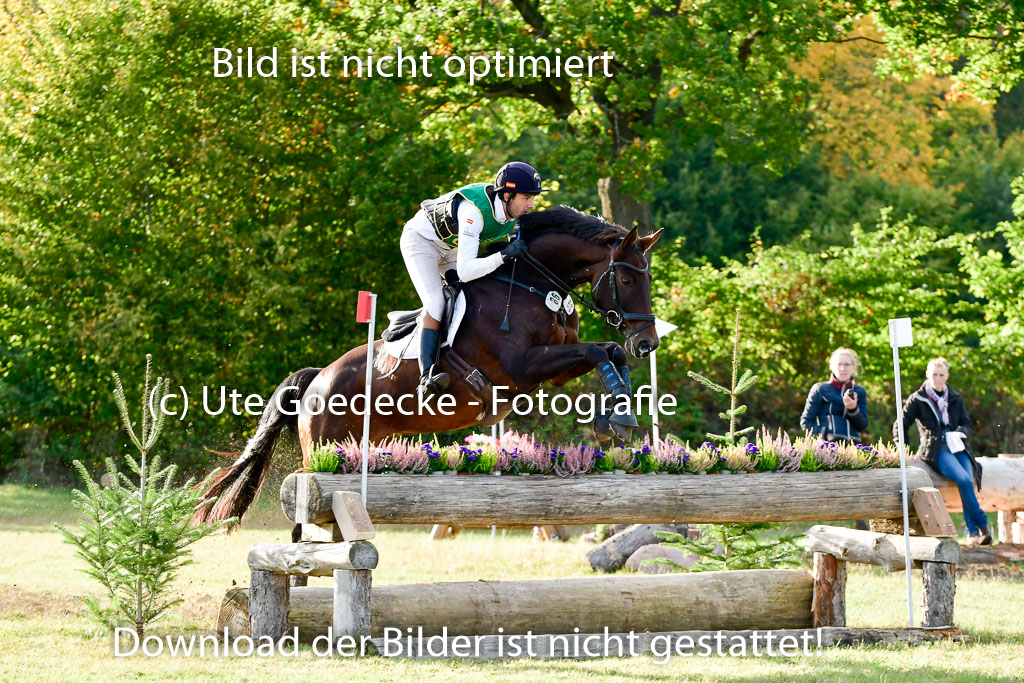 Bad Segeberg 09.10.2022 | 09102022 - XC CCI++ _598