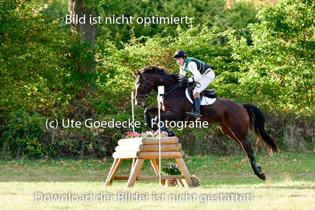 Bad Segeberg 09.10.2022 | 09102022 - XC CCI++ _601
