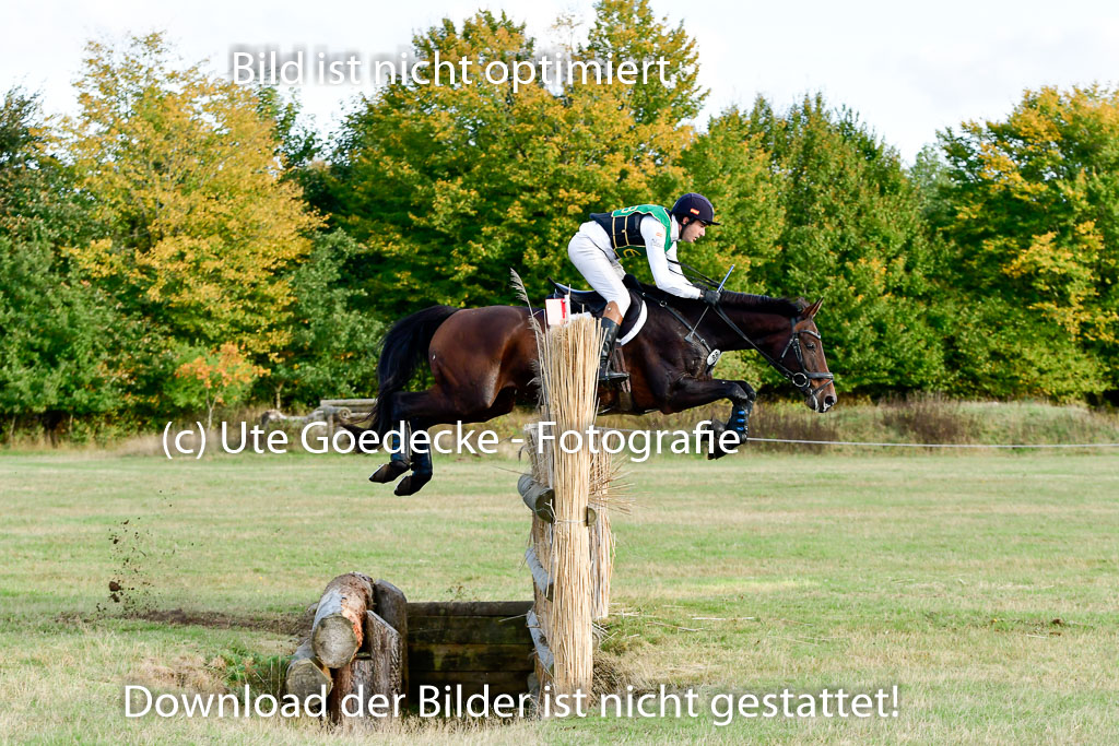 Bad Segeberg 09.10.2022 | 09102022 - XC CCI++ _611