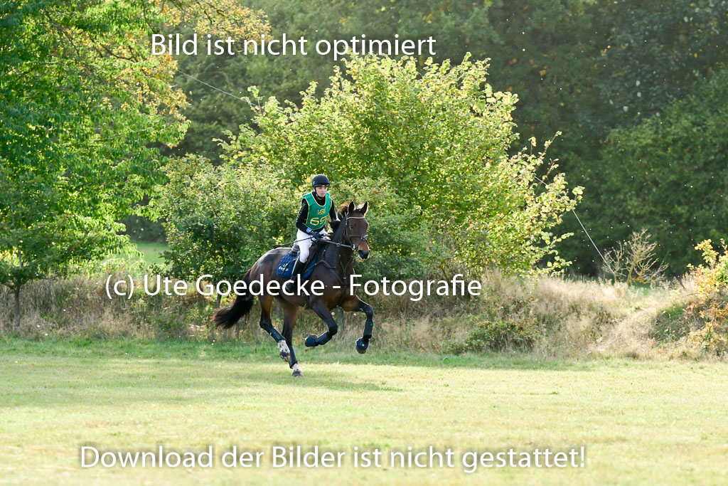 Bad Segeberg 09.10.2022 | 09102022 - XC CCI++ _612