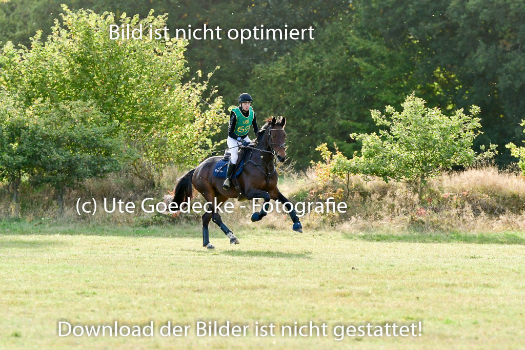 Bad Segeberg 09.10.2022 | 09102022 - XC CCI++ _613