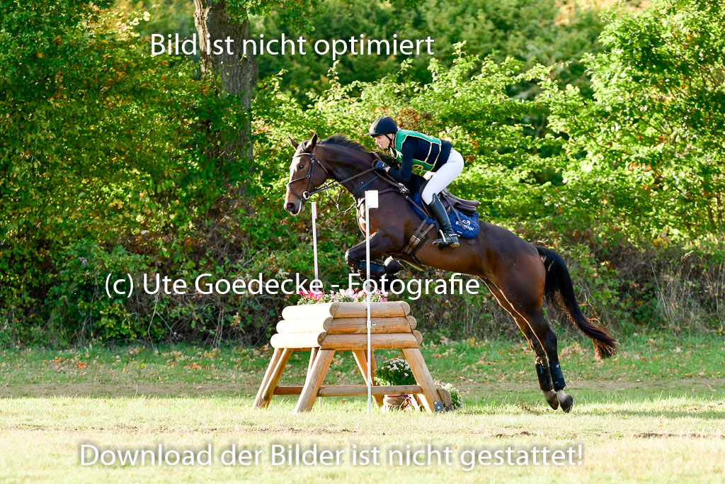 Bad Segeberg 09.10.2022 | 09102022 - XC CCI++ _621