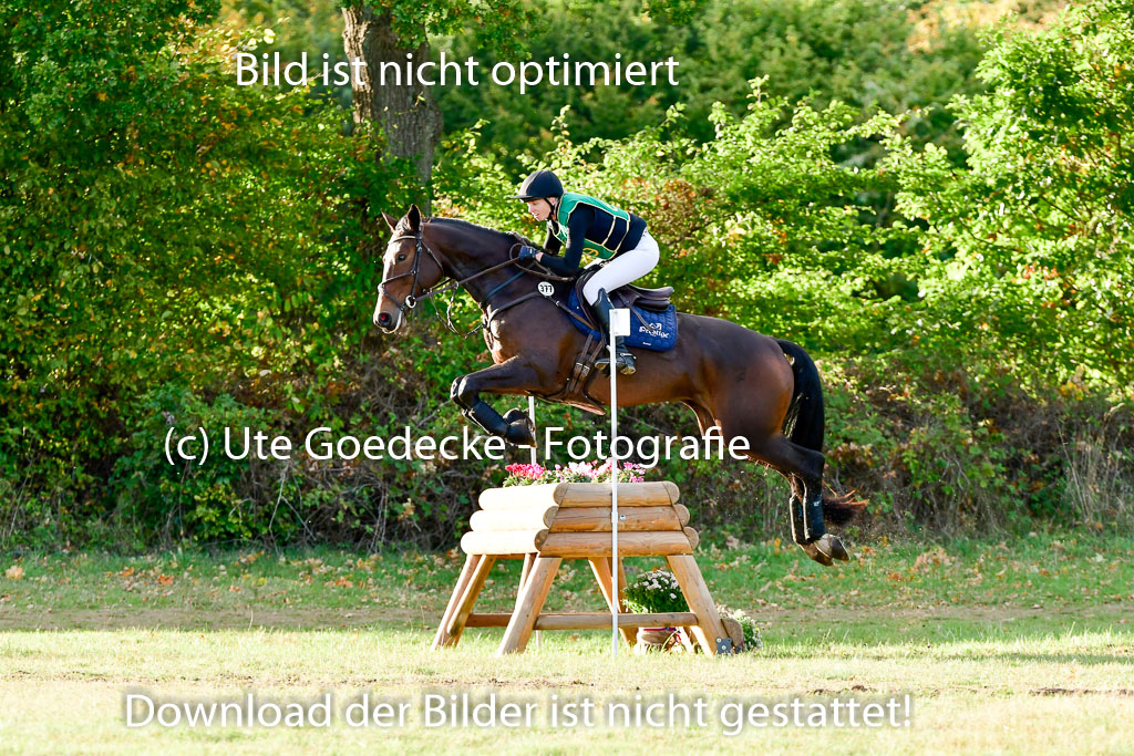 Bad Segeberg 09.10.2022 | 09102022 - XC CCI++ _622