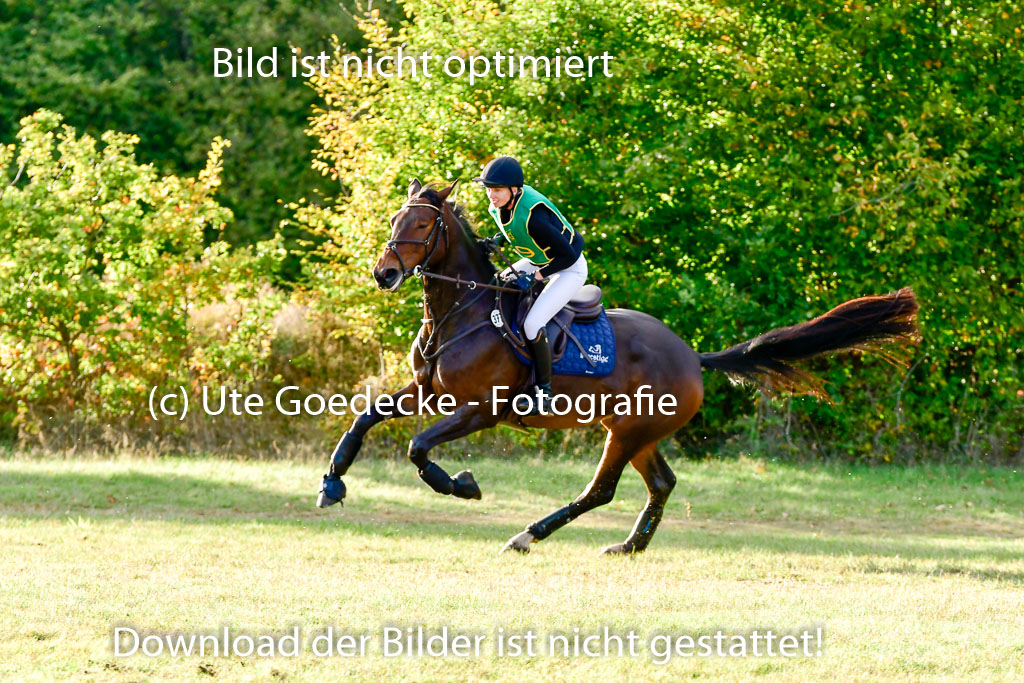 Bad Segeberg 09.10.2022 | 09102022 - XC CCI++ _625