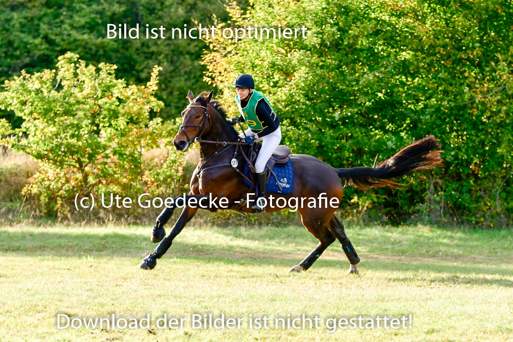Bad Segeberg 09.10.2022 | 09102022 - XC CCI++ _626