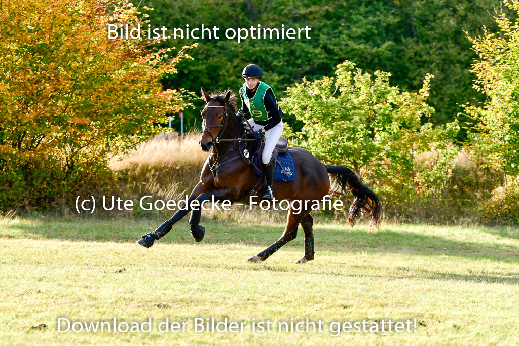 Bad Segeberg 09.10.2022 | 09102022 - XC CCI++ _628