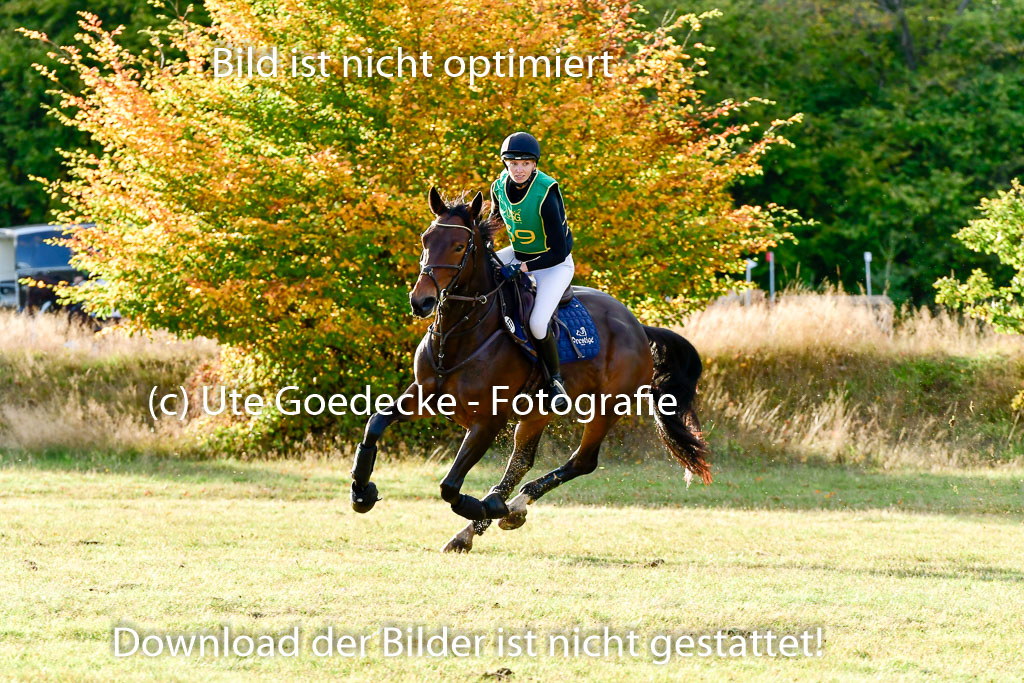 Bad Segeberg 09.10.2022 | 09102022 - XC CCI++ _629
