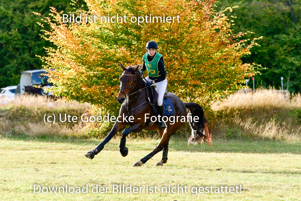 Bad Segeberg 09.10.2022 | 09102022 - XC CCI++ _630