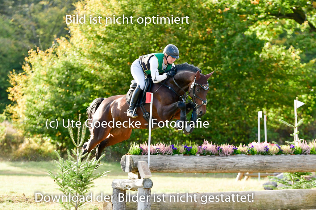 Bad Segeberg 09.10.2022 | 09102022 - XC CCI++ _644