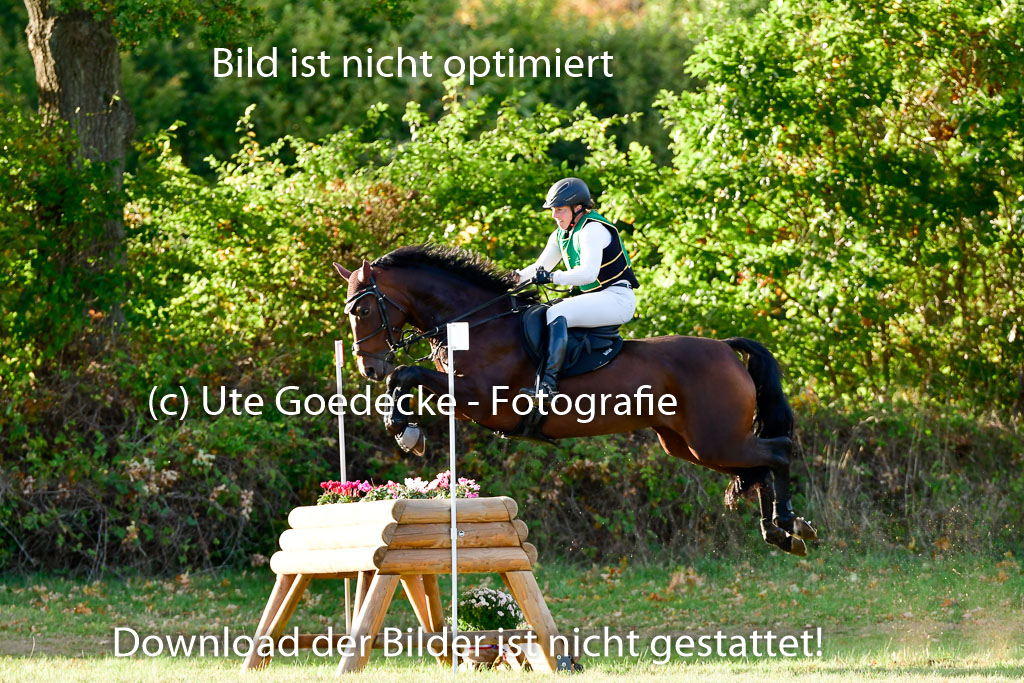 Bad Segeberg 09.10.2022 | 09102022 - XC CCI++ _645