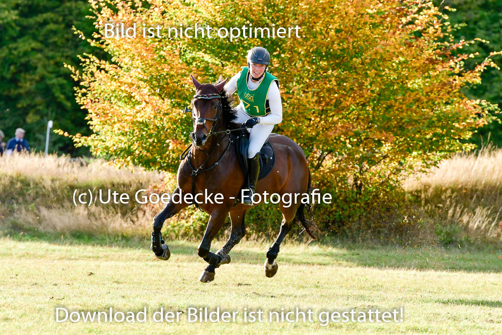 Bad Segeberg 09.10.2022 | 09102022 - XC CCI++ _647