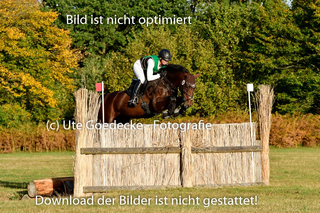 Bad Segeberg 09.10.2022 | 09102022 - XC CCI++ _650