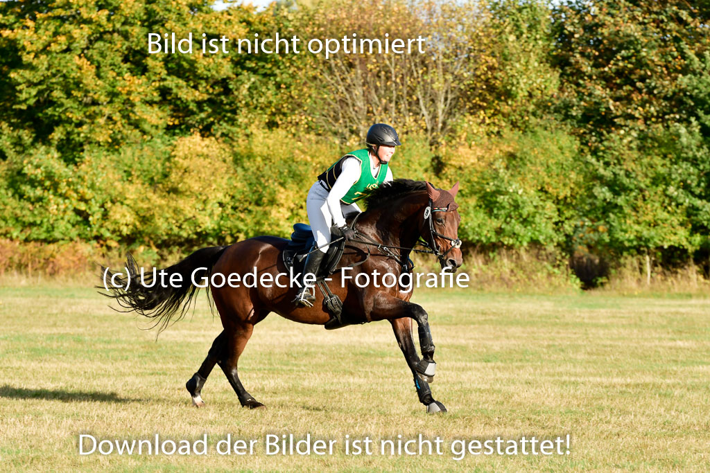 Bad Segeberg 09.10.2022 | 09102022 - XC CCI++ _651