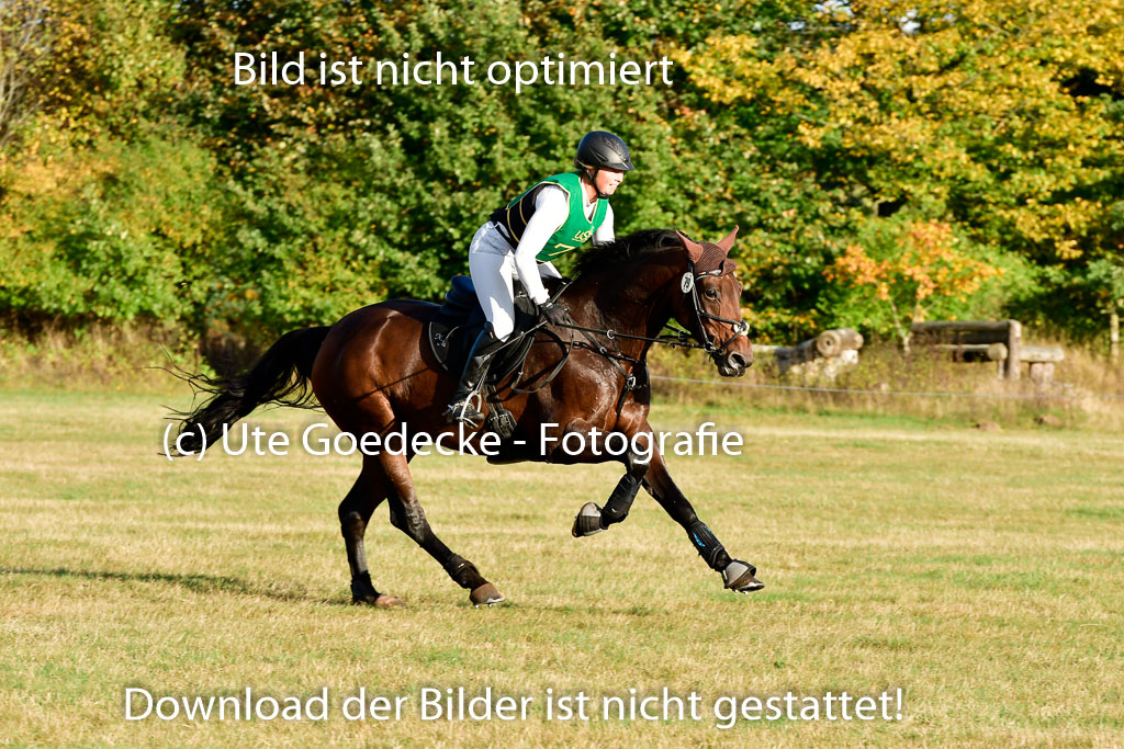 Bad Segeberg 09.10.2022 | 09102022 - XC CCI++ _652