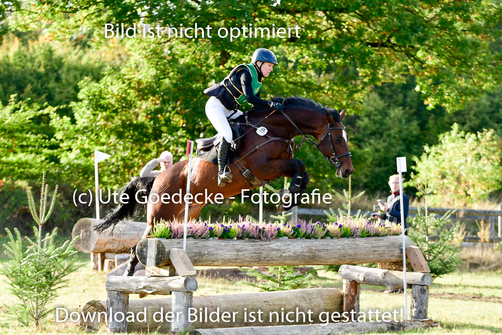 Bad Segeberg 09.10.2022 | 09102022 - XC CCI++ _653