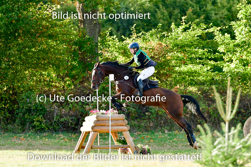 Bad Segeberg 09.10.2022 | 09102022 - XC CCI++ _655