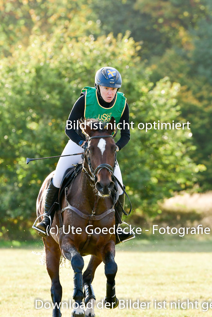Bad Segeberg 09.10.2022 | 09102022 - XC CCI++ _657