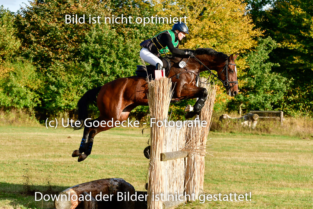 Bad Segeberg 09.10.2022 | 09102022 - XC CCI++ _660
