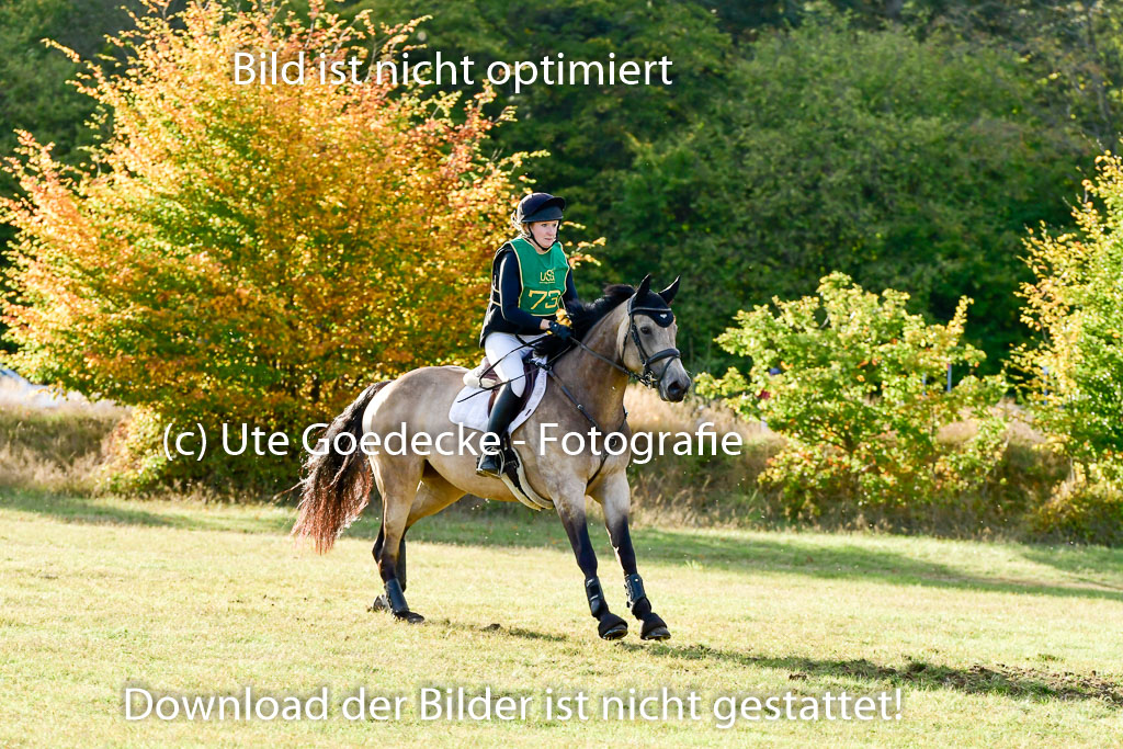 Bad Segeberg 09.10.2022 | 09102022 - XC CCI++ _661
