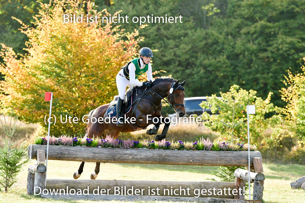 Bad Segeberg 09.10.2022 | 09102022 - XC CCI++ _671