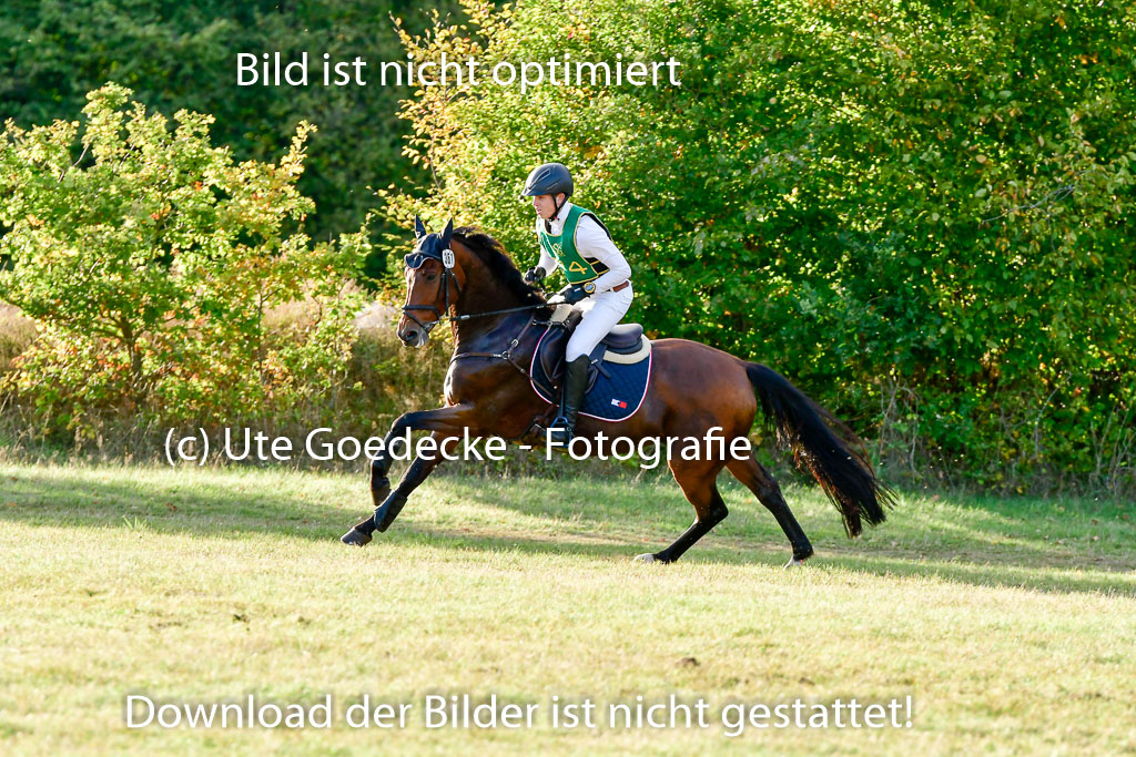 Bad Segeberg 09.10.2022 | 09102022 - XC CCI++ _675