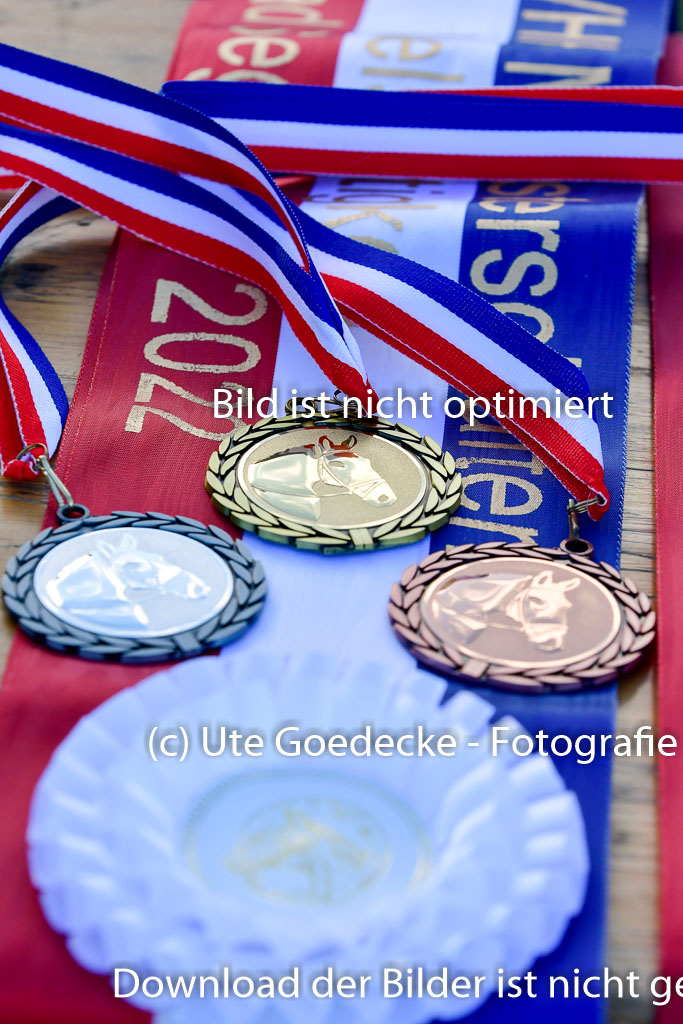Bad Segeberg 09.10.2022 | 09102022 - XC CCI++ _684