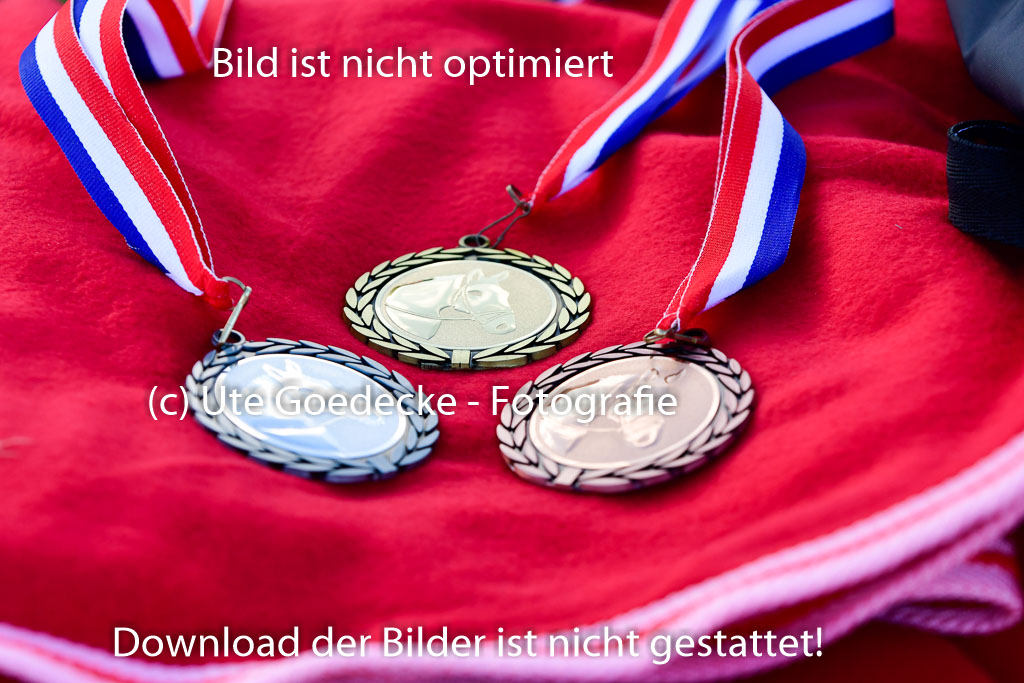 Bad Segeberg 09.10.2022 | 09102022 - XC CCI++ _685