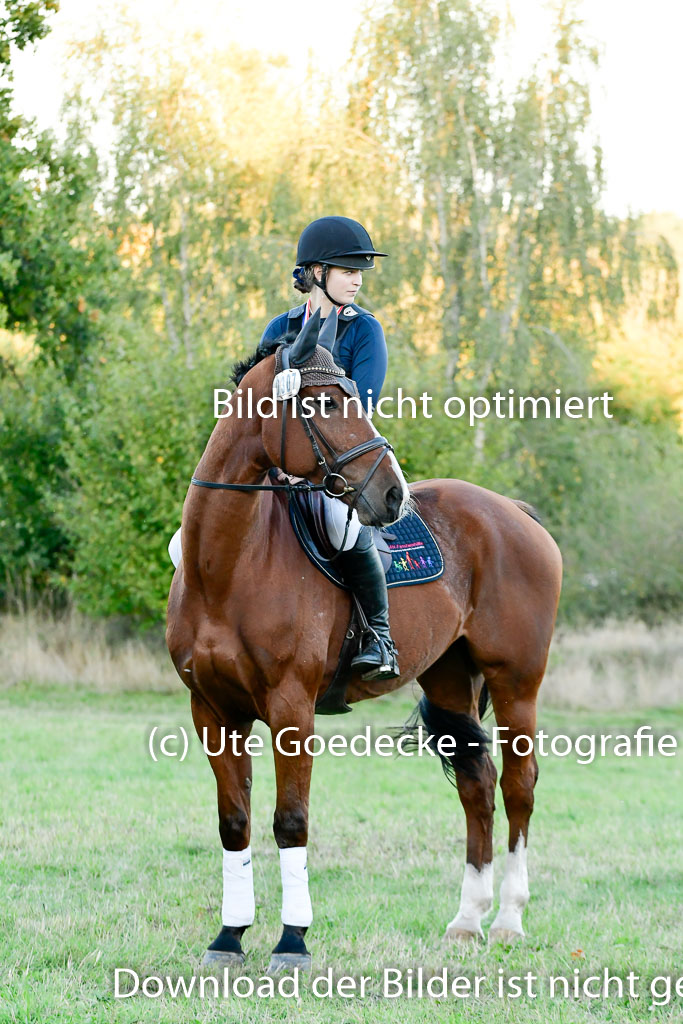 Bad Segeberg 09.10.2022 | 09102022 - XC CCI++ _717