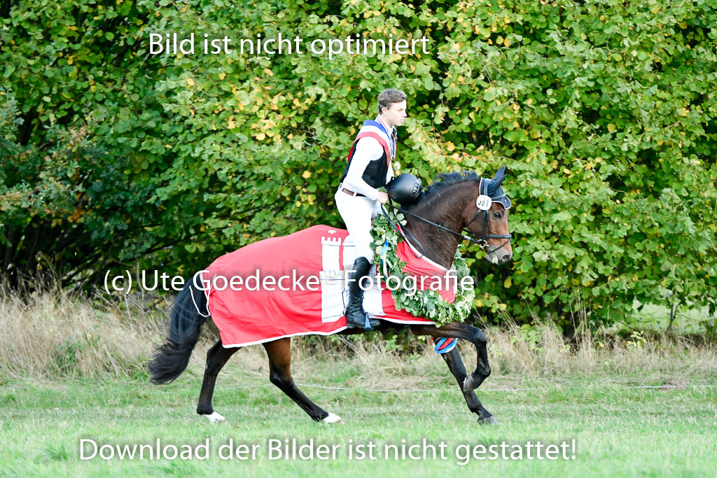 Bad Segeberg 09.10.2022 | 09102022 - XC CCI++ _722