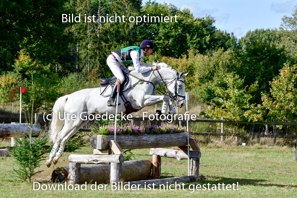 Bad Segeberg 09.10.2022 | 09102022 - XC CCI++
