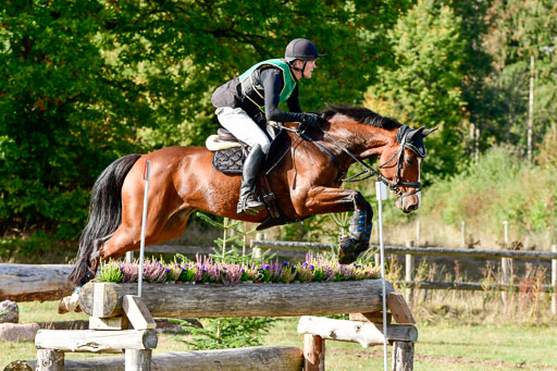 Bad Segeberg  09.10.2022 | 09102022 - XC CCI++ _010 
