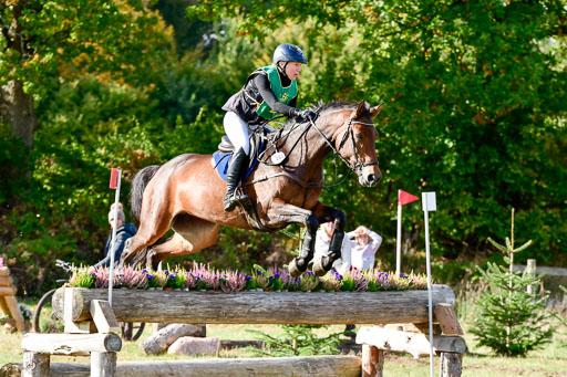 Bad Segeberg  09.10.2022 | 09102022 - XC CCI++ _021 