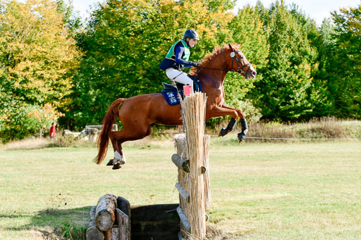 Bad Segeberg  09.10.2022 | 09102022 - XC CCI++ _038 