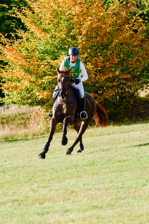 Bad Segeberg  09.10.2022 | 09102022 - XC CCI++ _081 