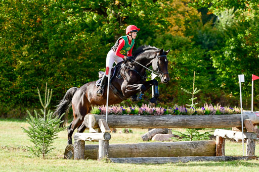 Bad Segeberg  09.10.2022 | 09102022 - XC CCI++ _188 