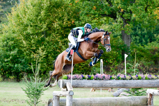 Bad Segeberg  09.10.2022 | 09102022 - XC CCI++ _310 