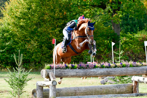 Bad Segeberg  09.10.2022 | 09102022 - XC CCI++ _410 