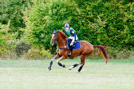 Bad Segeberg  09.10.2022 | 09102022 - XC CCI++ _415 