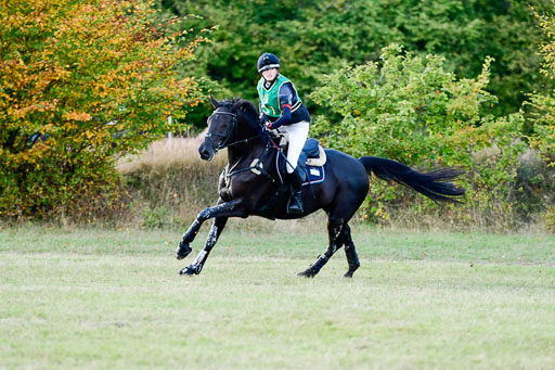 Bad Segeberg  09.10.2022 | 09102022 - XC CCI++ _438 