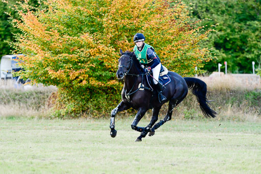 Bad Segeberg  09.10.2022 | 09102022 - XC CCI++ _439 