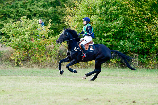 Bad Segeberg  09.10.2022 | 09102022 - XC CCI++ _459 