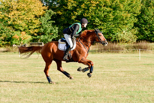 Bad Segeberg  09.10.2022 | 09102022 - XC CCI++ _518 